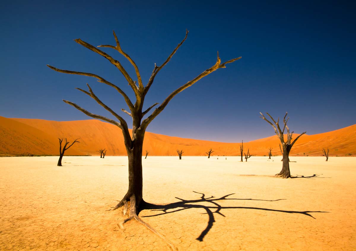 Namibia Luxury Safari