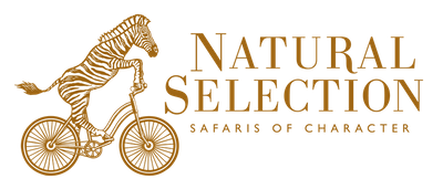 Natural Selection Logo Brand partner logo