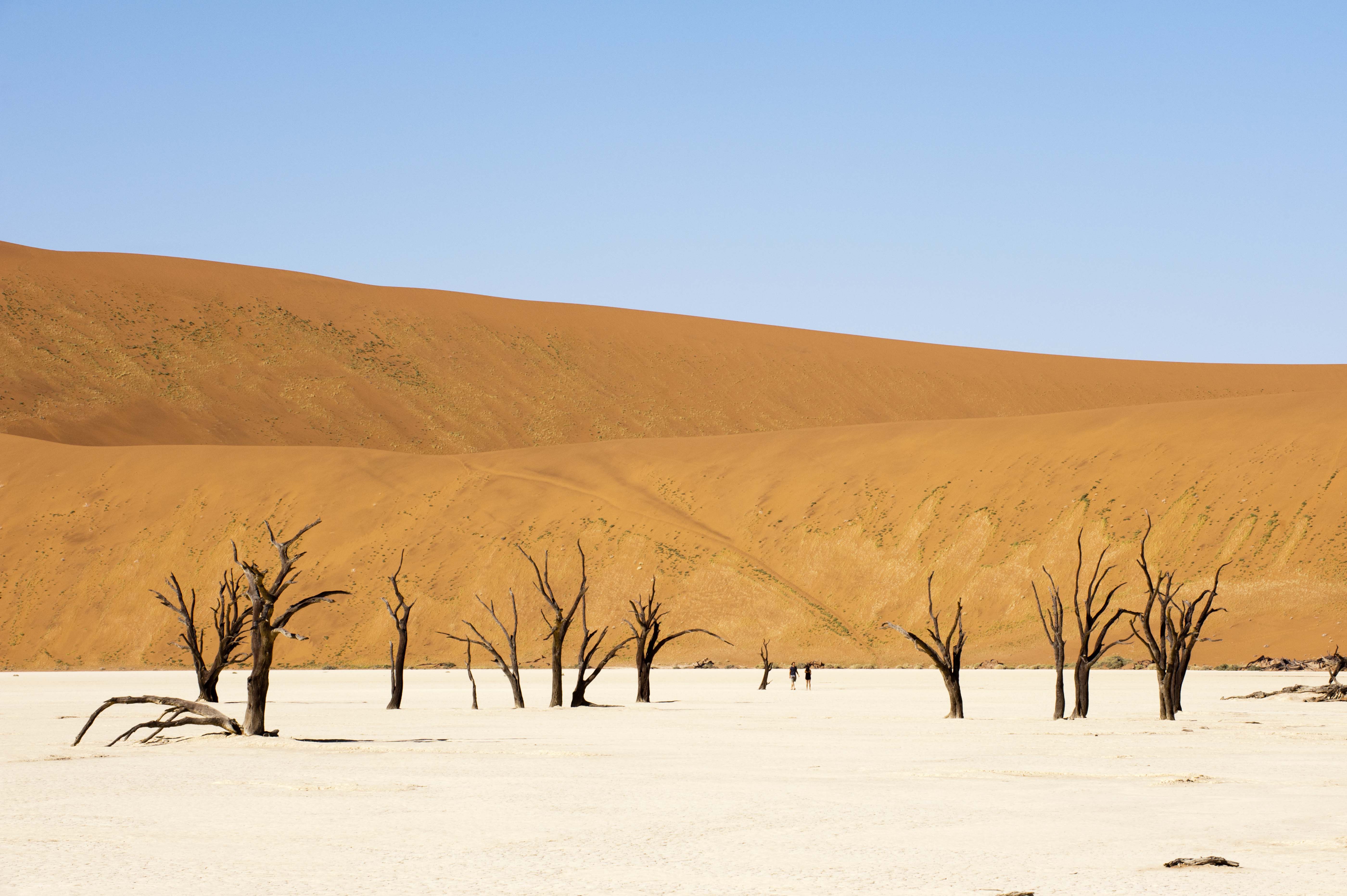 Explore Deadvlei on a Luxury Namibia Safari