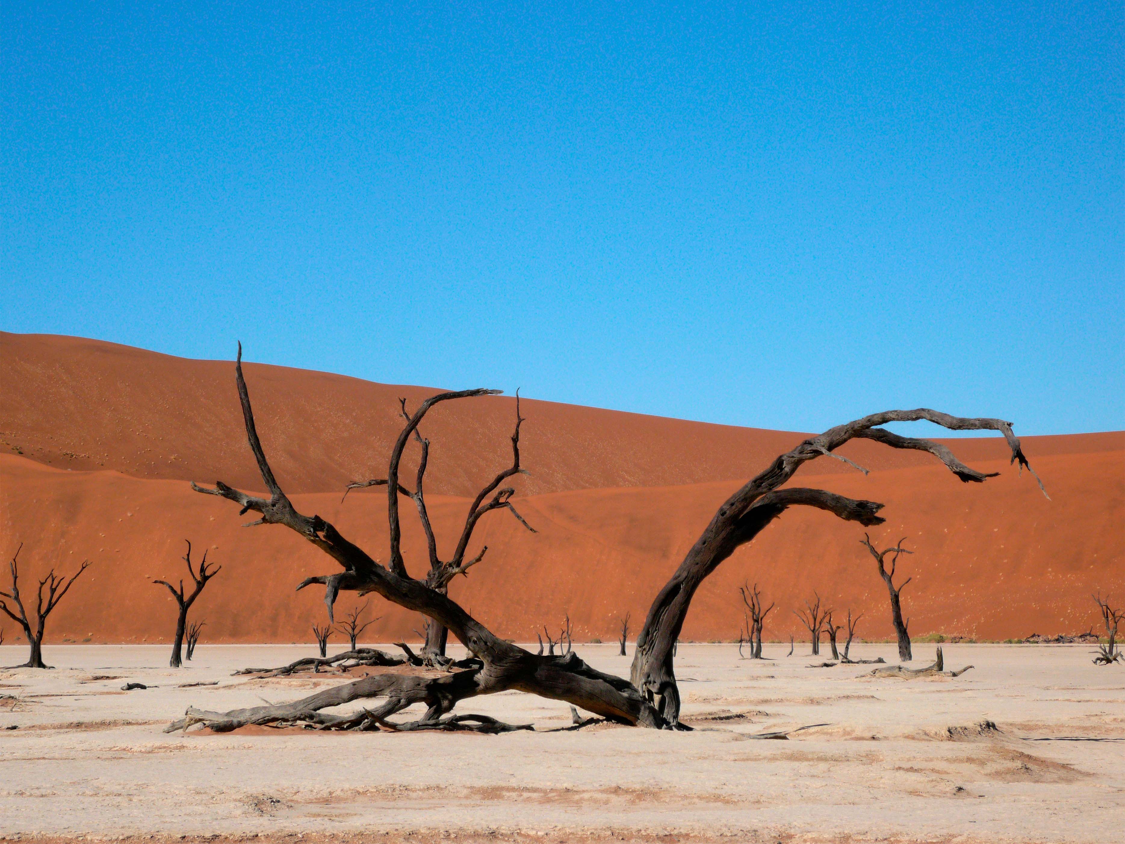 Walking Safari at Deadvlei on a Luxury Safari Namibia