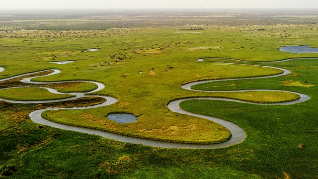 okavango delta, river, landscape