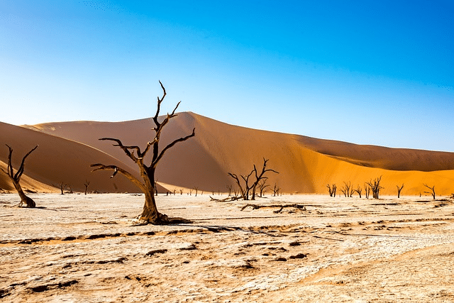 namibia, deadvlei, desert