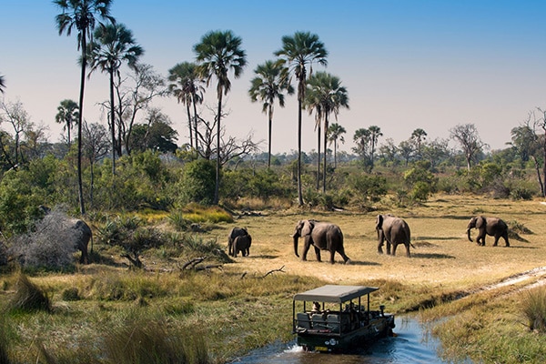Best Luxury Safari Lodges & Camps of Botswana - What defines a Luxury Botswana Safari