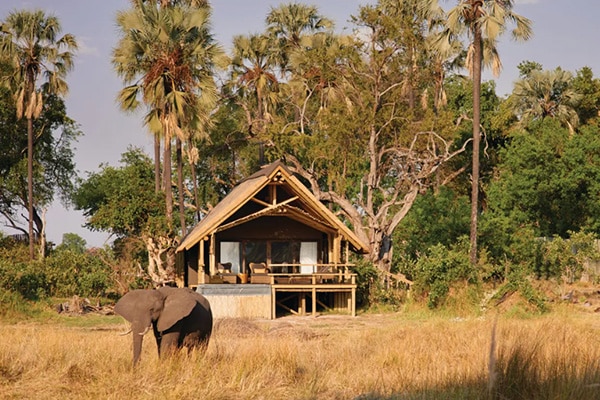 Best Luxury Safari Lodges & Camps of Botswana - What does a Luxury Botswana Safari Lodge offer high-end clients