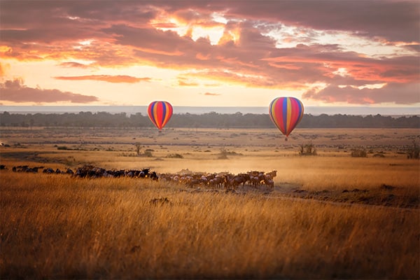 Magical Botswana Experiences Sail the Skies on a Hot Air Balloon Safari