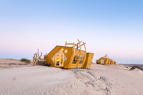 What to expect from your next Luxury Namibia Safari - Shipwreck Lodge