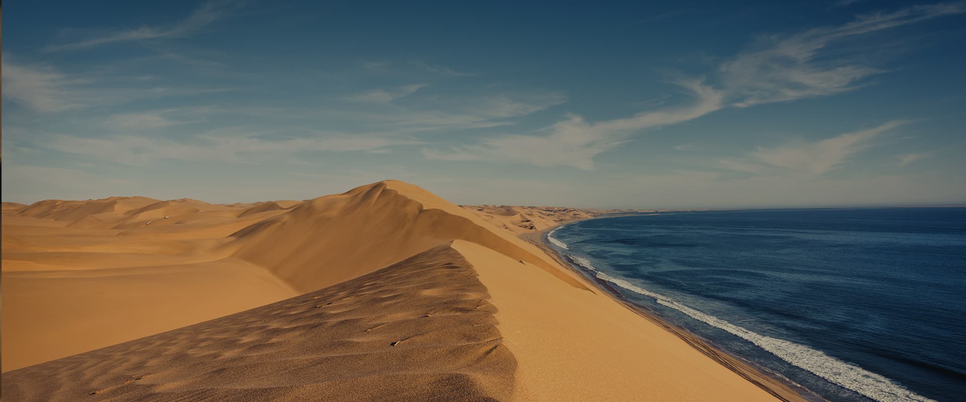 African Dune & Desert Safari Experiences