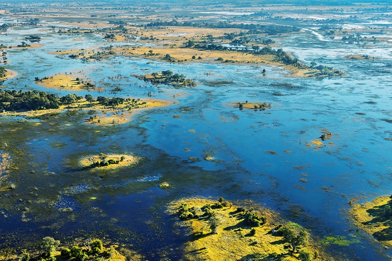 Okavango Delta in Botswana from the sky 