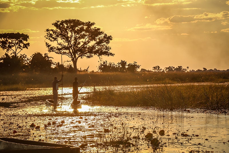 Mekoro ride with local tribe in Okavango Delta 