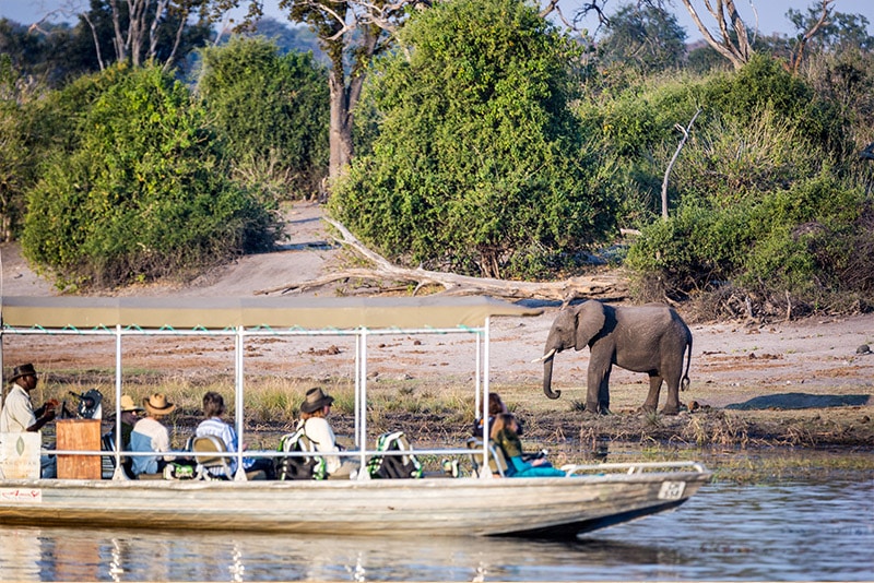 Boat Trip on Okavango Delta while on safari