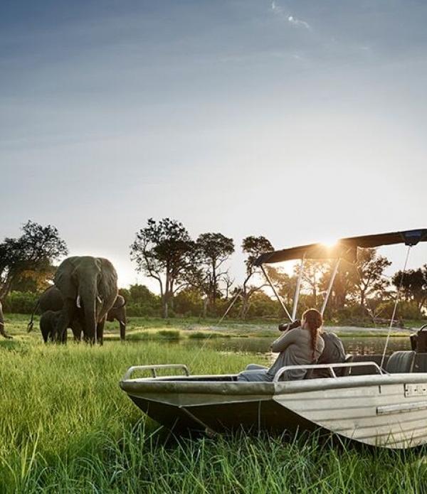Private Boat Trekking Okavango Land & Water Safari