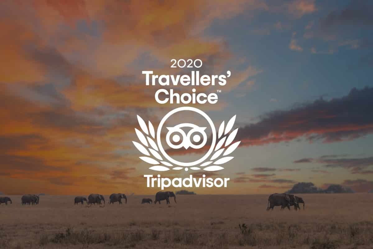 Jewel of Africa Safaris Awarded 2020 Trip Advisor Traveller’s Choice Award